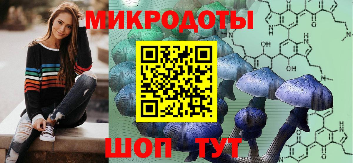 Новозыбков  Псилоцибиновые грибы мухоморы  Галлюциногенные грибы GOLDEN TEACHER  Вход с VPN 