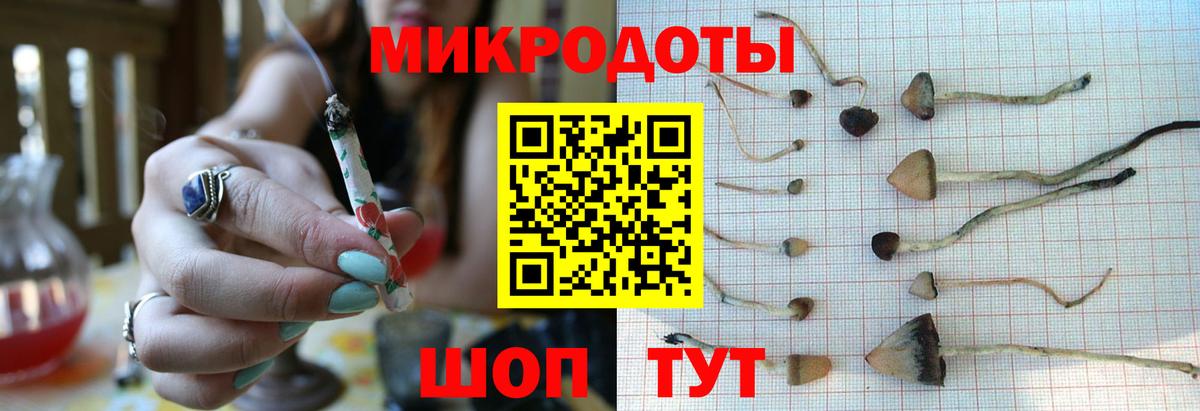 Галлюциногенные грибы Cubensis Новозыбков